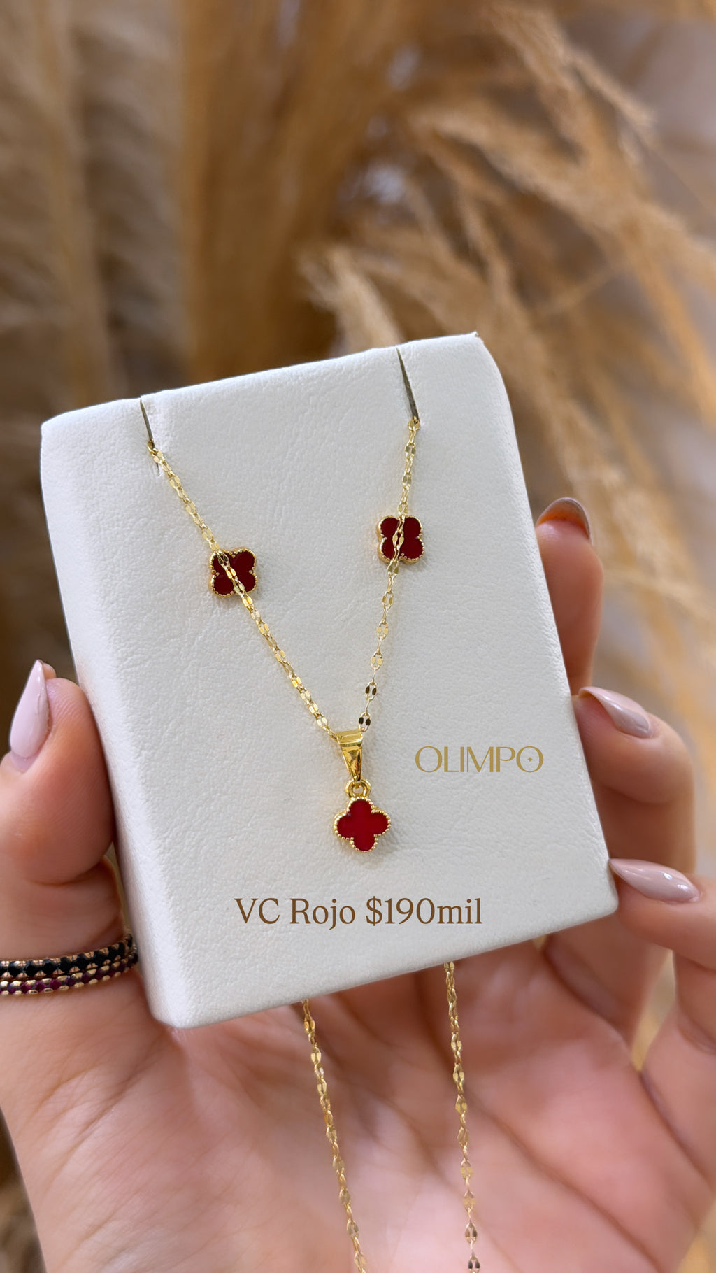 Conjunto • Cadena + Dije + Topos