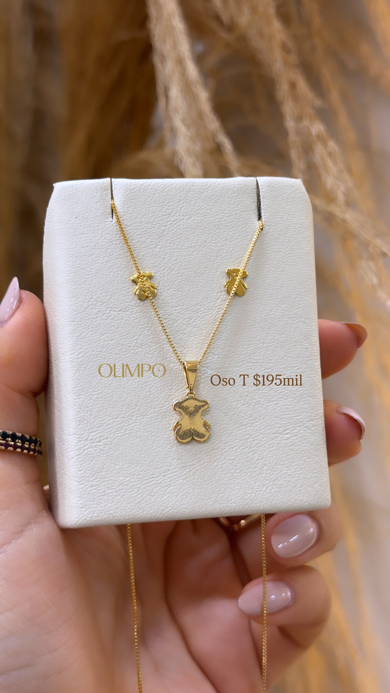 Conjunto • Cadena + Dije + Topos