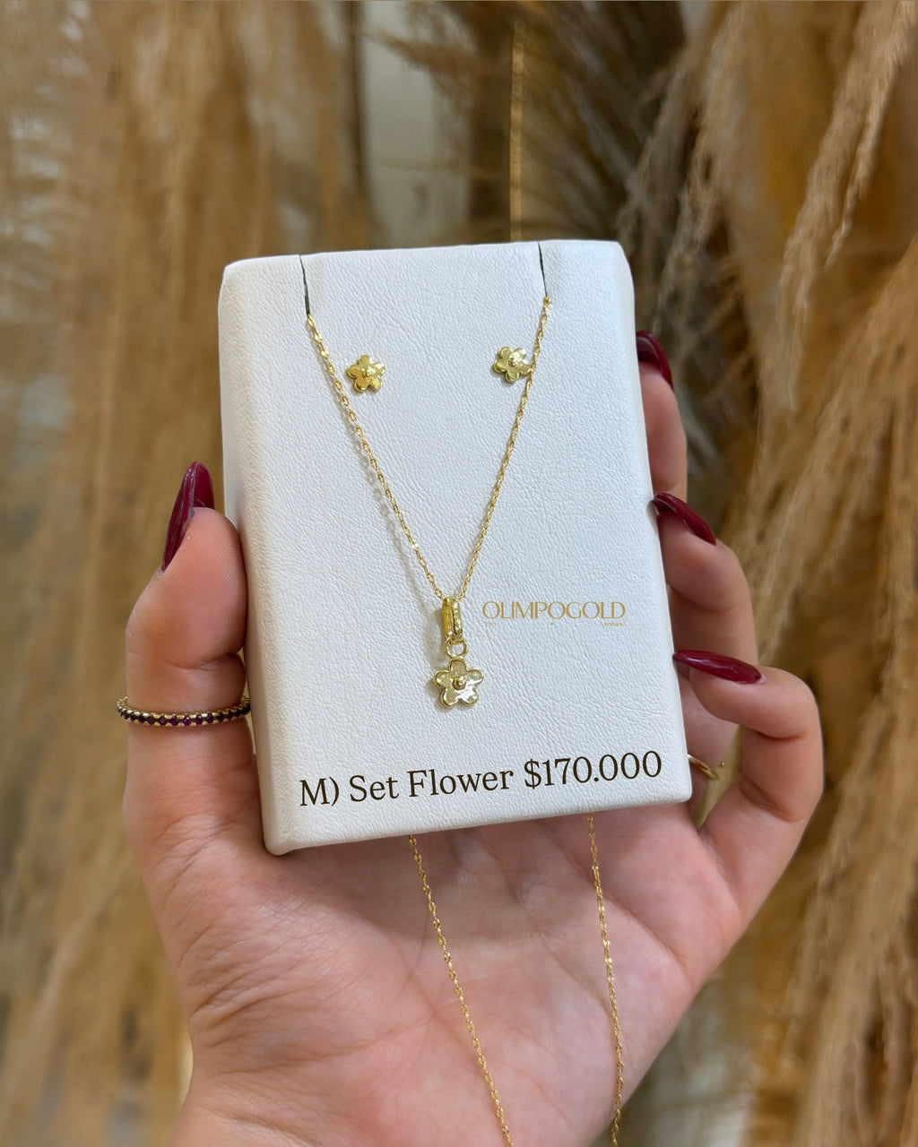 Set Cadena + Dije + Topos