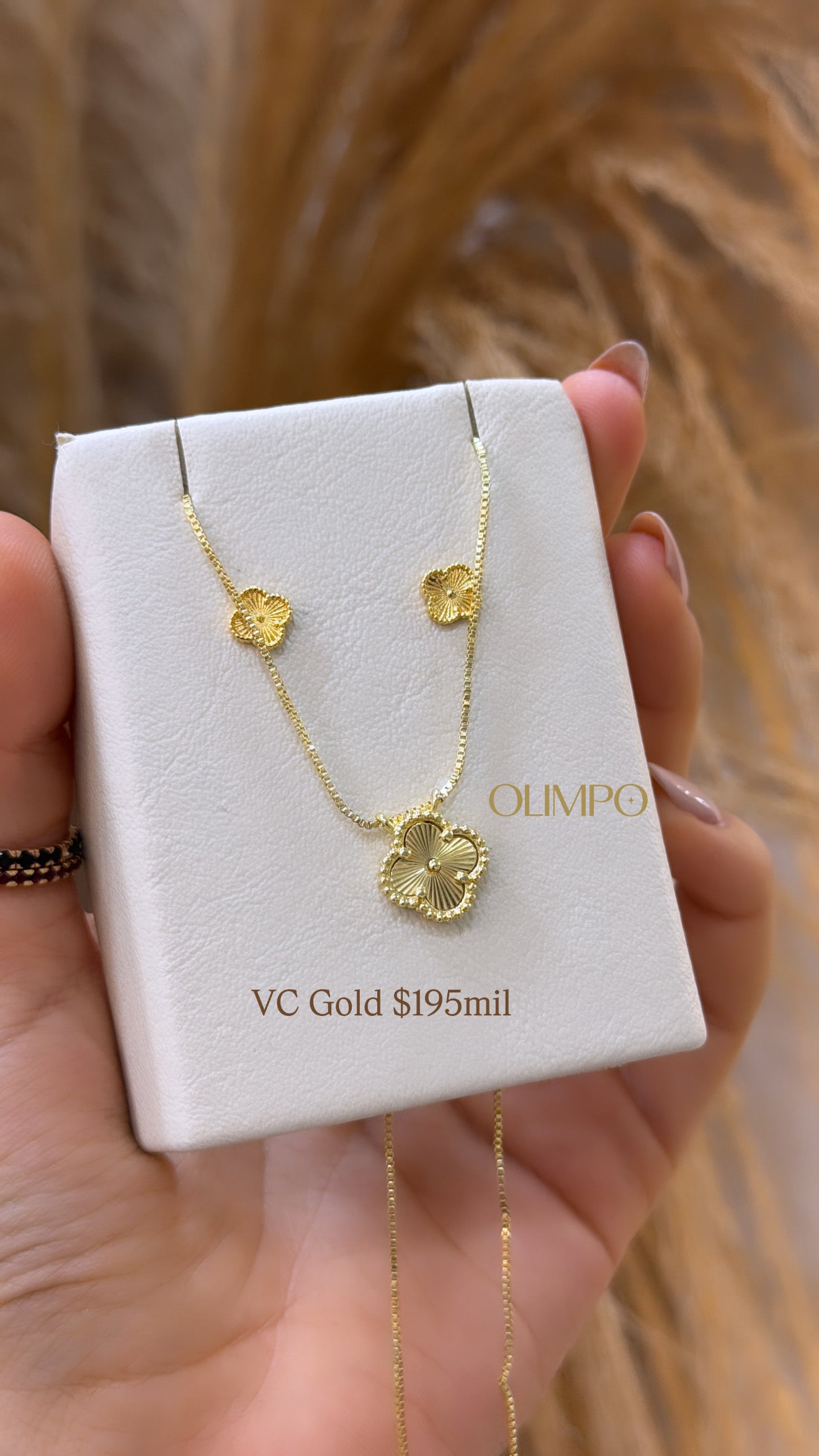 Conjunto • Cadena + Dije + Topos