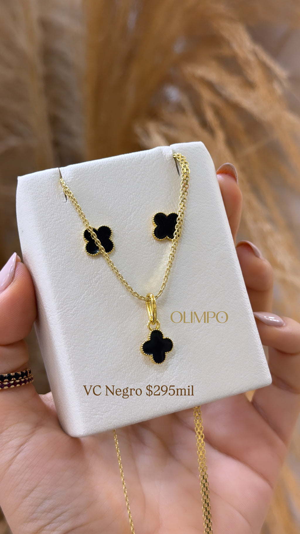 Conjunto • Cadena + Dije + Topos