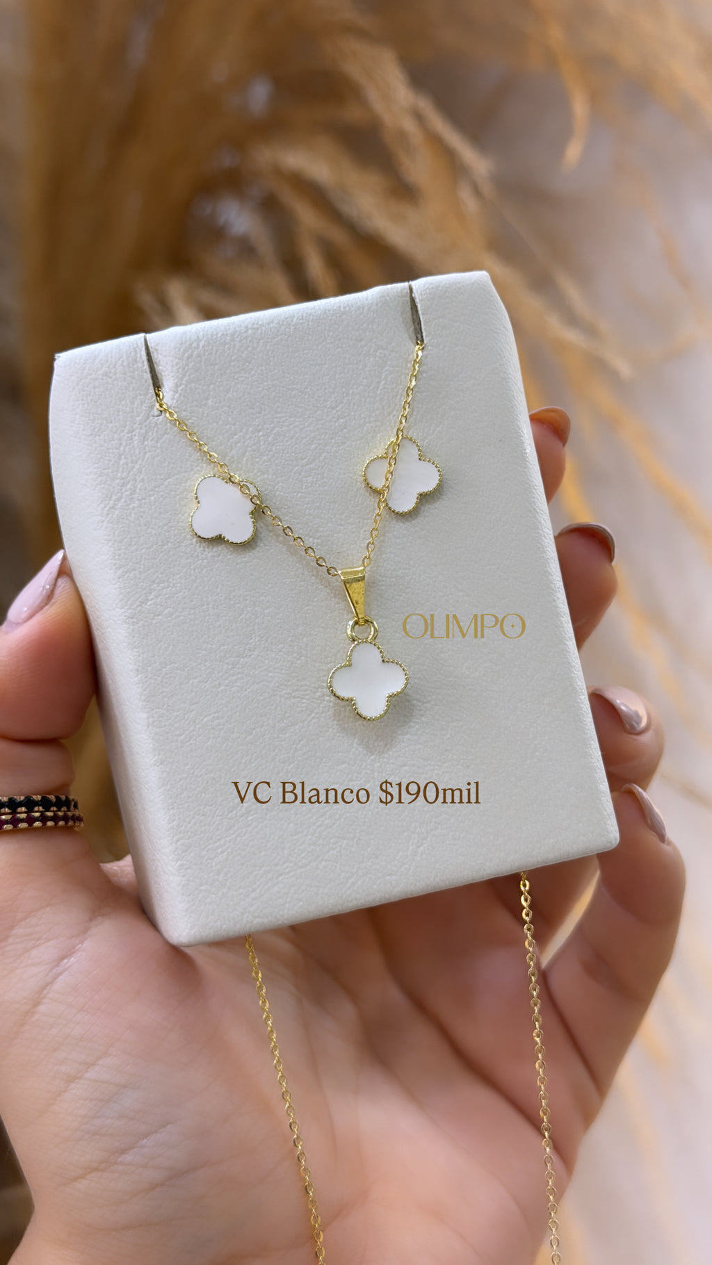 Conjunto • Cadena + Dije + Topos