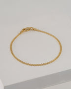 P China IT 2mm 16 Cms