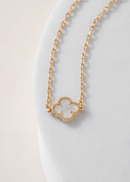 Collar VC 42cm+ extensor