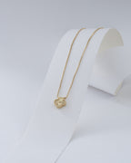 G Clover 1.3 Cms 45 Cms + Ext.
